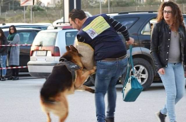 Totino Addestramento E Pensione Per Cani